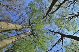 <p>Šluknovsko - Knížecí</p>